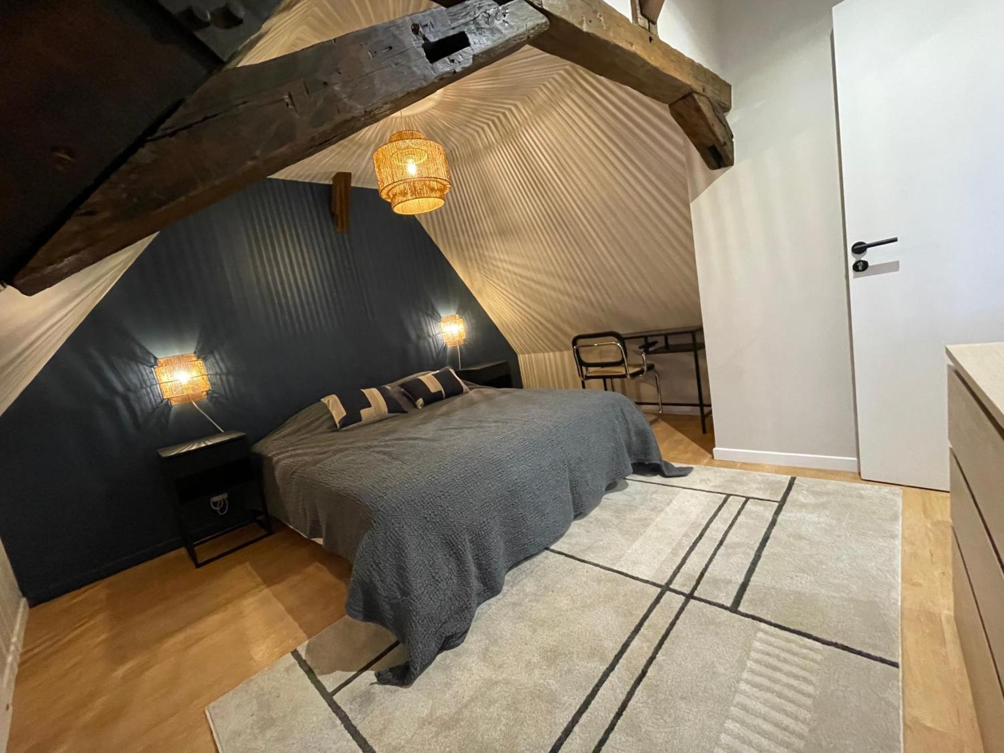 Le Petit Chateau Du Docteur Cambournac Bourges Extérieur photo